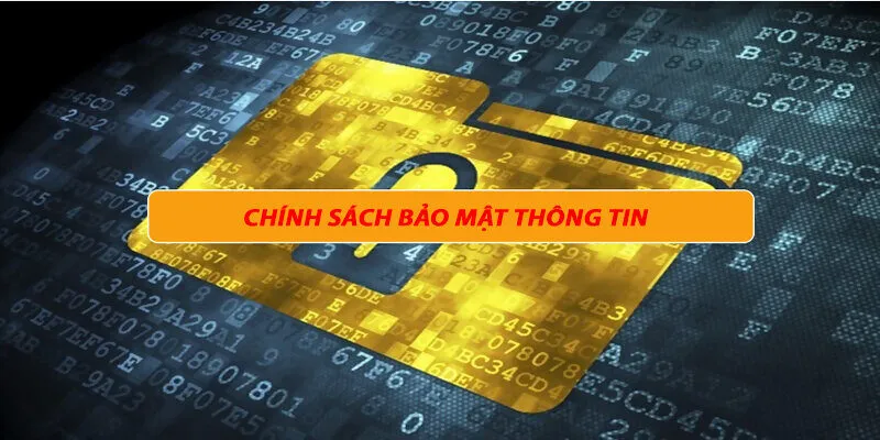 Chính sách về quyền truy cập thông tin