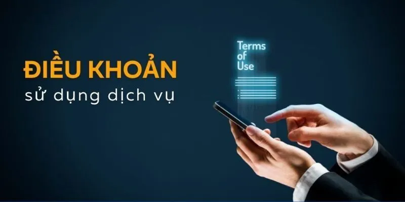 Điều khoản sử dụng về trách nhiệm của người dùng